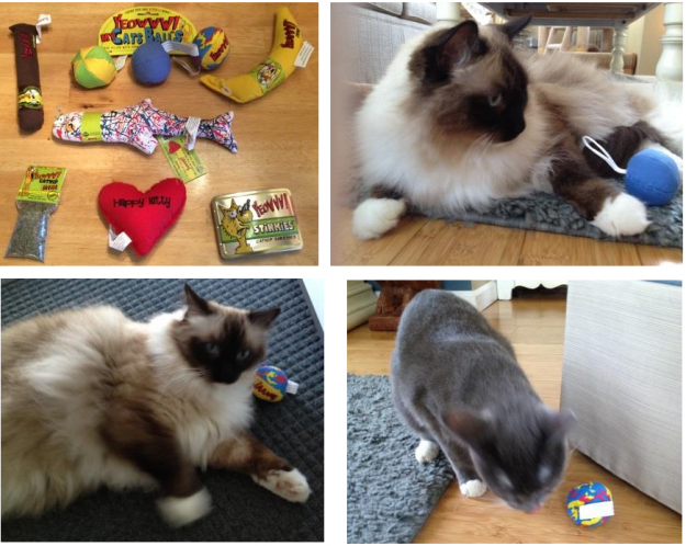 Premium Organic Catnip Toys for Happy, Healthy Cats