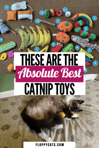 Premium Organic Catnip Toys for Happy, Healthy Cats