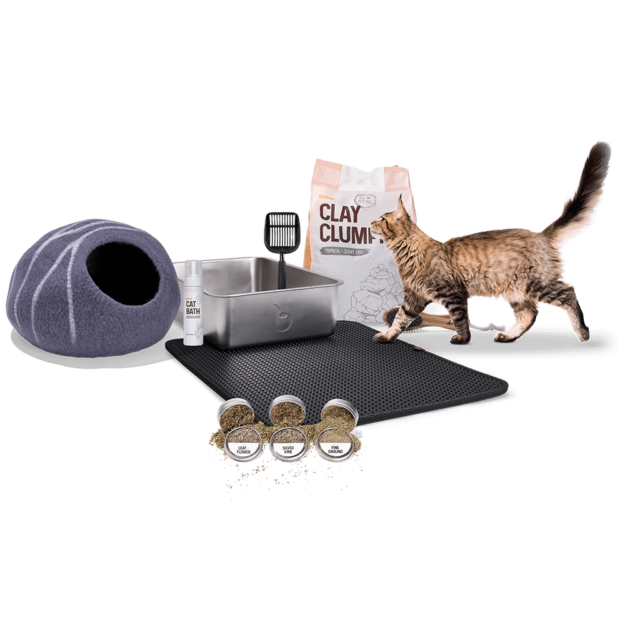 Unlock Exclusive Black Friday Savings on Litter-Robot Automatic Litter Boxes