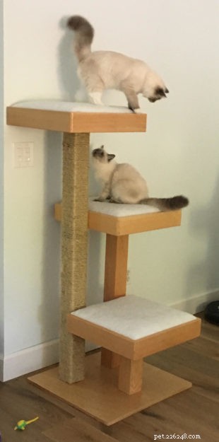 Build Your Own Cat Power Tower: Reader Crafts a DIY Cat Tree from Scratch