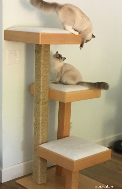 Build Your Own Cat Power Tower: Reader Crafts a DIY Cat Tree from Scratch