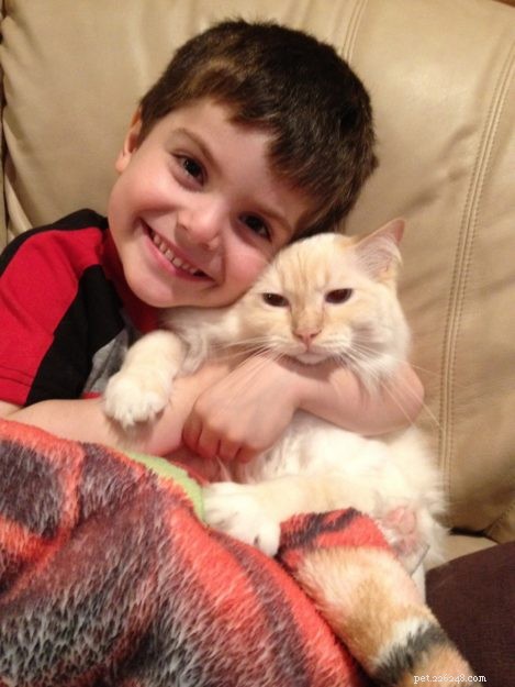 Chester: Featured Ragdoll of the Week
