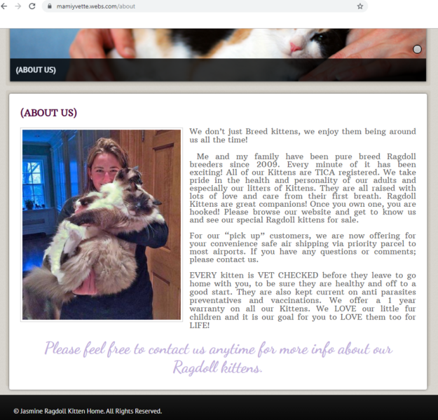 Beware of Ragdoll Breeder Scams: Protect Your Jasmine Ragdoll Kitten Purchase