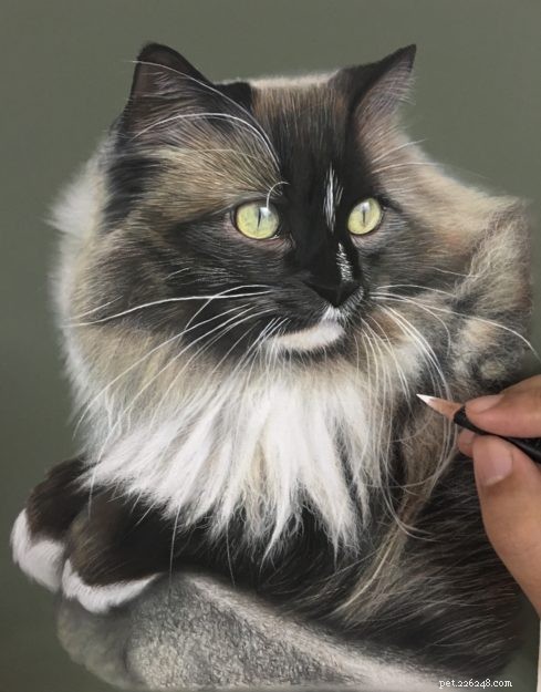 Ivan Hoo: Master of Realistic Cat Art – Exclusive Interview