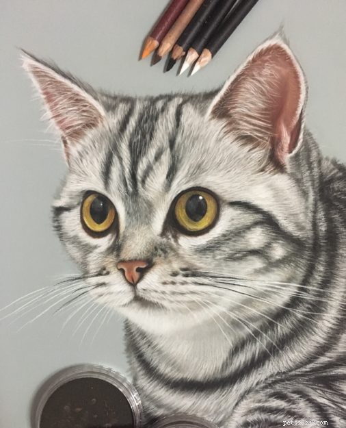 Ivan Hoo: Master of Realistic Cat Art – Exclusive Interview