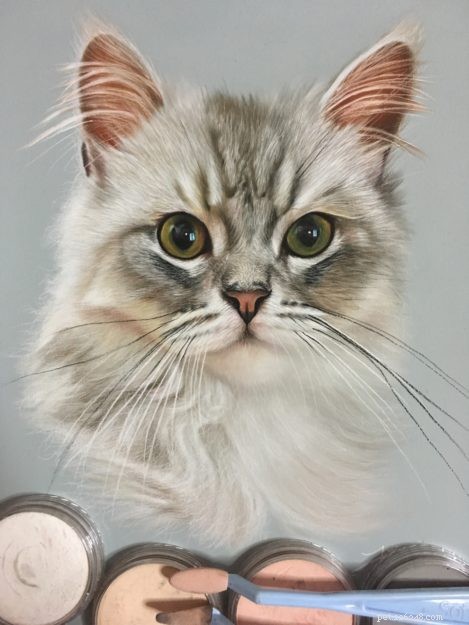 Ivan Hoo: Master of Realistic Cat Art – Exclusive Interview
