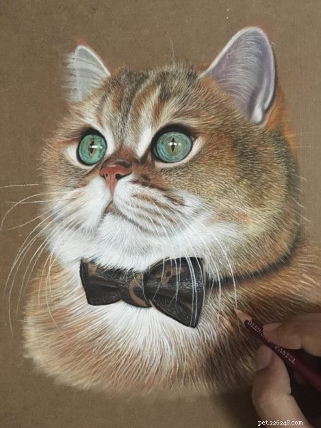 Ivan Hoo: Master of Realistic Cat Art – Exclusive Interview