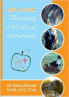 Interview with Dr. Sarah Brandon, DVM: Expert Insights on Essential Oils for Cats