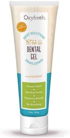 Cat Dental Care Masterclass: Dr. Sarah Brandon, DVM Reveals Holistic Techniques