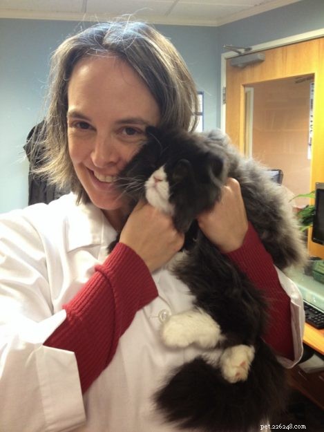 Dr. Sarah Brandon, DVM: Pioneering Holistic Hemp Pet Care