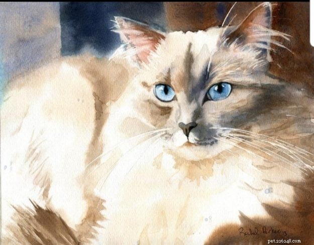 Meet Rachel Parker: Cat Portrait Artist & Watercolor Master