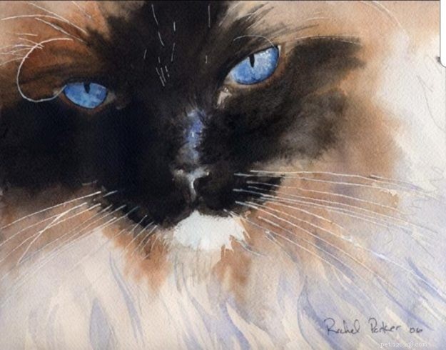 Meet Rachel Parker: Cat Portrait Artist & Watercolor Master