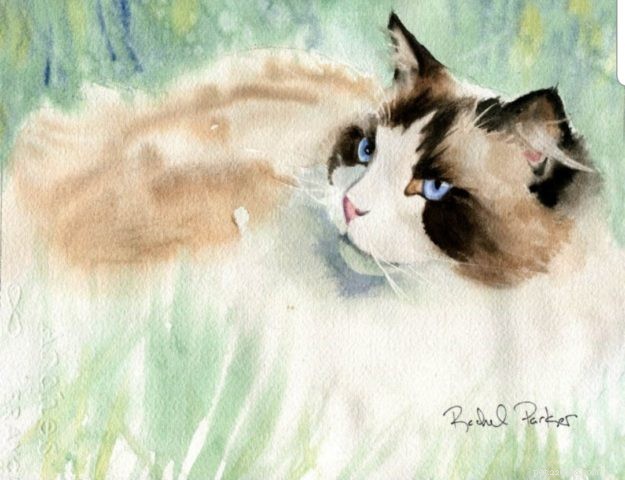 Meet Rachel Parker: Cat Portrait Artist & Watercolor Master