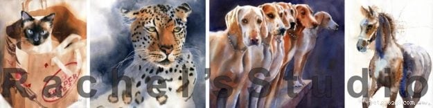 Meet Rachel Parker: Cat Portrait Artist & Watercolor Master