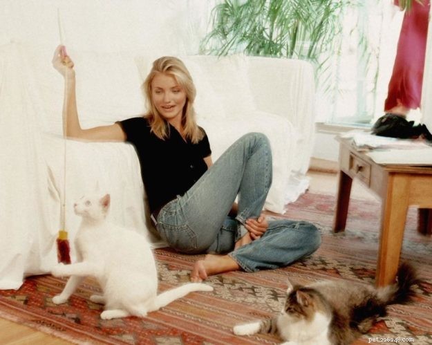 10 Celebrities Who Are Passionate Cat Lovers