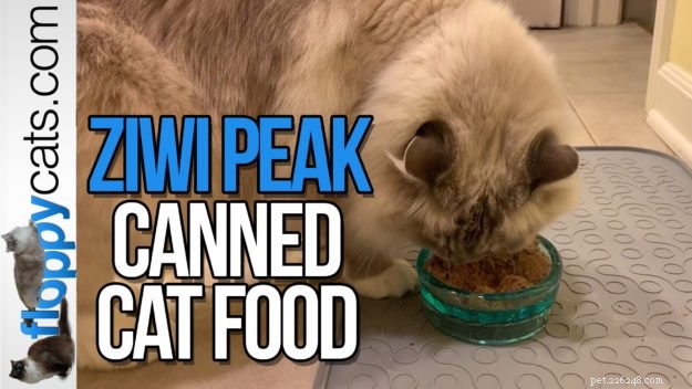 Ziwi Peak Canned Cat Food: Premium, Additive-Free Nutrition for Your Cat