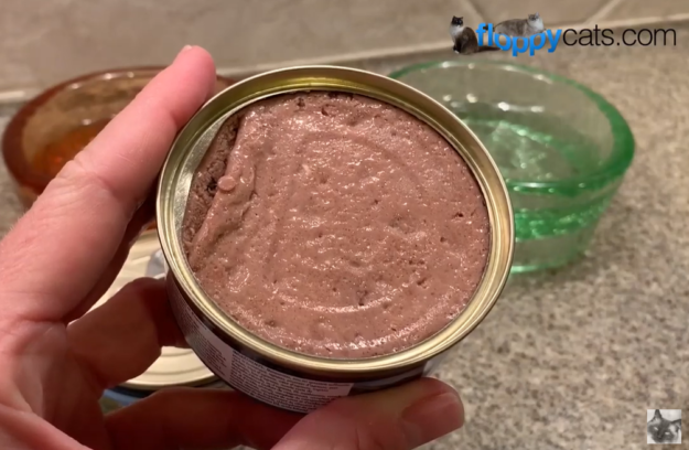 Ziwi Peak Canned Cat Food: Premium, Additive-Free Nutrition for Your Cat