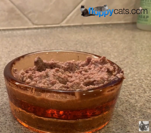 Ziwi Peak Canned Cat Food: Premium, Additive-Free Nutrition for Your Cat