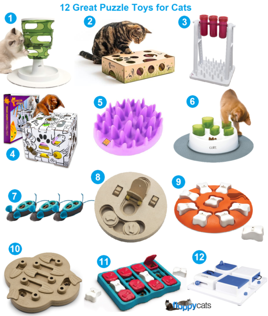 Top Cat Puzzle Toys: Engage, Stimulate, and Reward Your Feline