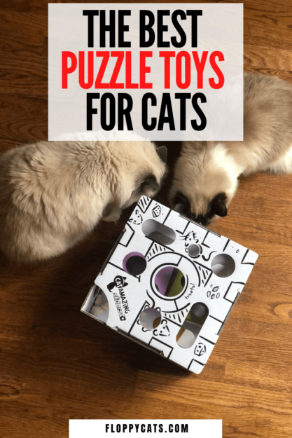 Top Cat Puzzle Toys: Engage, Stimulate, and Reward Your Feline