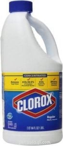Why Cats Are Attracted to Bleach: Understanding Their Behavior