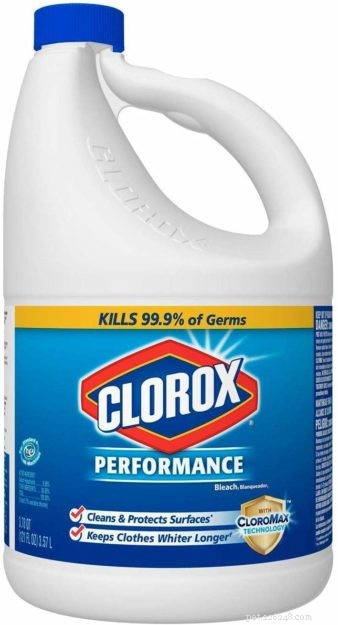 Why Cats Are Attracted to Bleach: Understanding Their Behavior