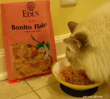 Why Cats Love Fish: A Complete Guide to the Best Fish Choices and Health Tips