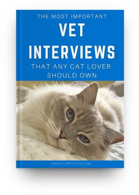 Ragdoll Cat Personality: Traits & Temperament That Define This Beloved Breed