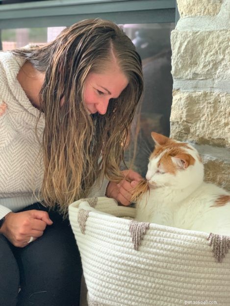 Why Cats Lick Your Hair: Insights, Causes, and Solutions