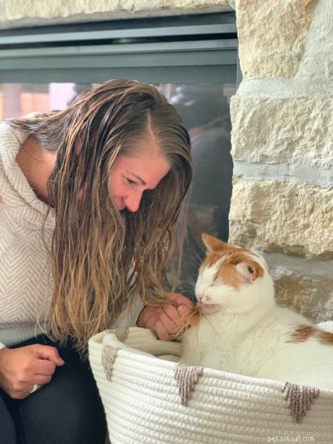 Why Cats Lick Your Hair: Insights, Causes, and Solutions