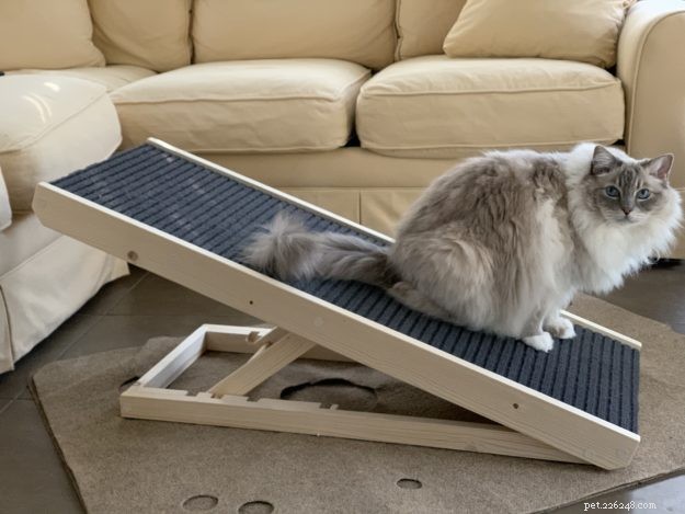 Unboxing the Scratchy Ramp: A Dual-Function Cat Scratcher & Ramp