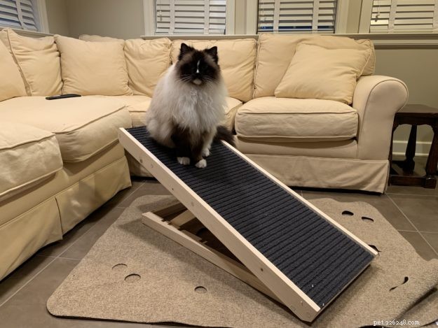 Unboxing the Scratchy Ramp: A Dual-Function Cat Scratcher & Ramp