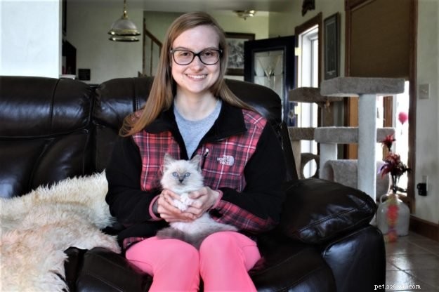 Holly: A Ragdoll s Story of Love and Resilience