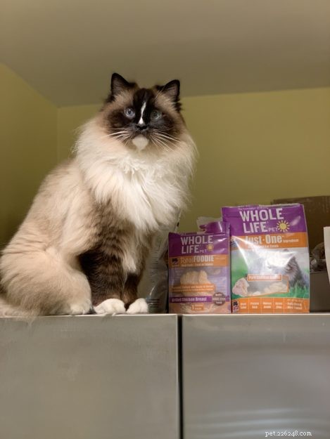 Charlie Turns 11: A Heartfelt Birthday Celebration