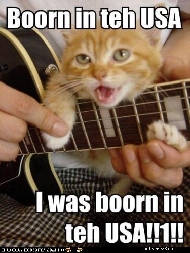 10 Patriotic & Hilarious 4th of July Cat Memes