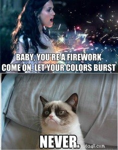 10 Patriotic & Hilarious 4th of July Cat Memes