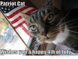 10 Patriotic & Hilarious 4th of July Cat Memes