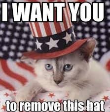 10 Patriotic & Hilarious 4th of July Cat Memes