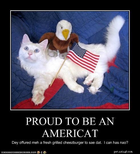 10 Patriotic & Hilarious 4th of July Cat Memes