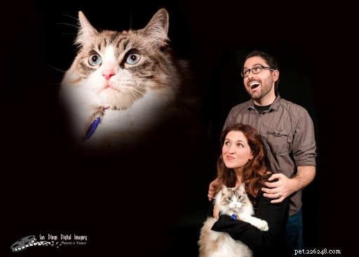 Nessie Burke: Meet Our Ragdoll of the Week