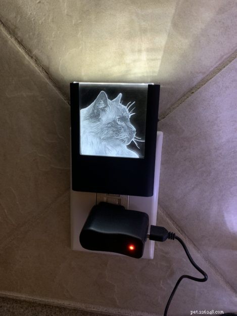 Personalized Cat Engraved Night Light & 3D Crystal Rectangle – Premium Tribute from Etched Memory