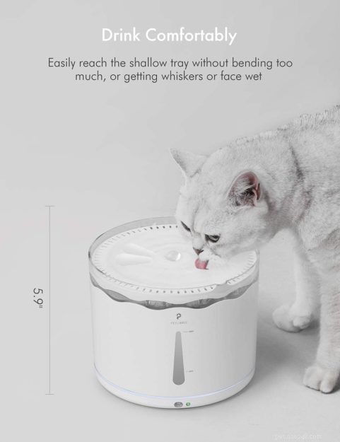 PetLibro Automatic Pet Water Fountain – Fresh, Clean Water for Your Cat Anytime