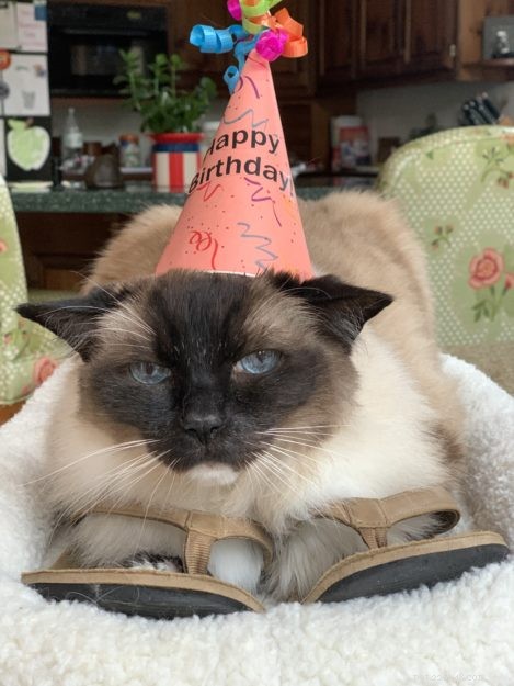 Celebrating Caymus  16th Birthday: A Journey of Hope and Resilience