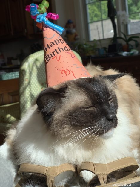 Celebrating Caymus  16th Birthday: A Journey of Hope and Resilience
