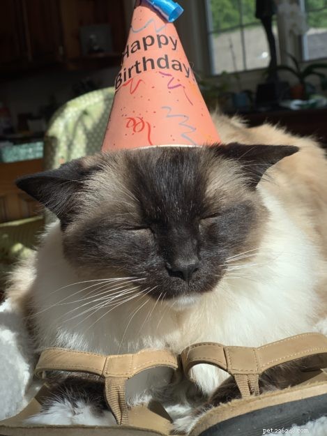 Celebrating Caymus  16th Birthday: A Journey of Hope and Resilience