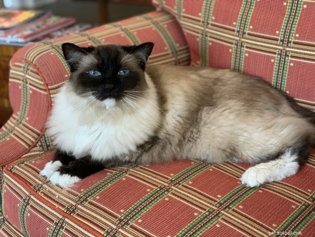 Celebrating Caymus  16th Birthday: A Journey of Hope and Resilience