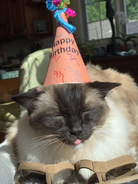 Celebrating Caymus  16th Birthday: A Journey of Hope and Resilience