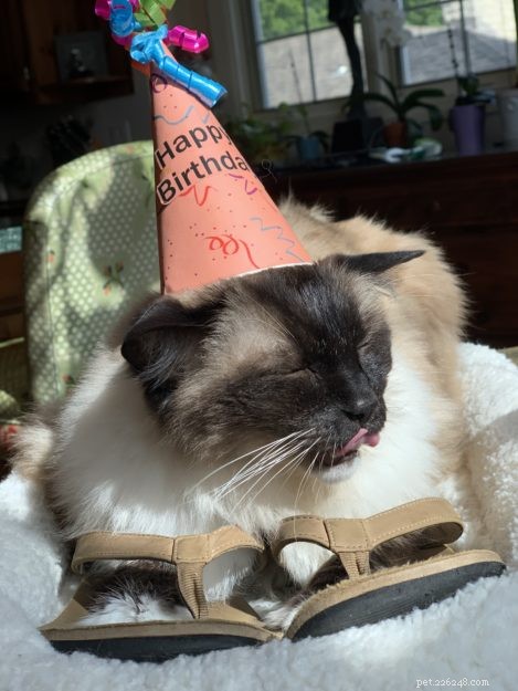 Celebrating Caymus  16th Birthday: A Journey of Hope and Resilience