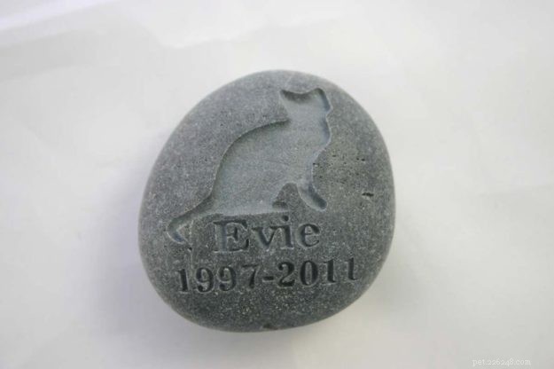 7 Thoughtful Cat Memorial Ideas to Honor Your Feline Companion
