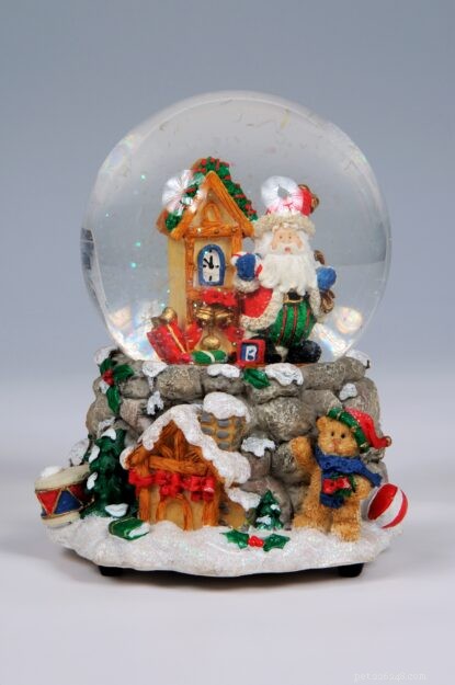Hidden Dangers: Snow Globes Contain Anti‑Freeze, Endangering Pets